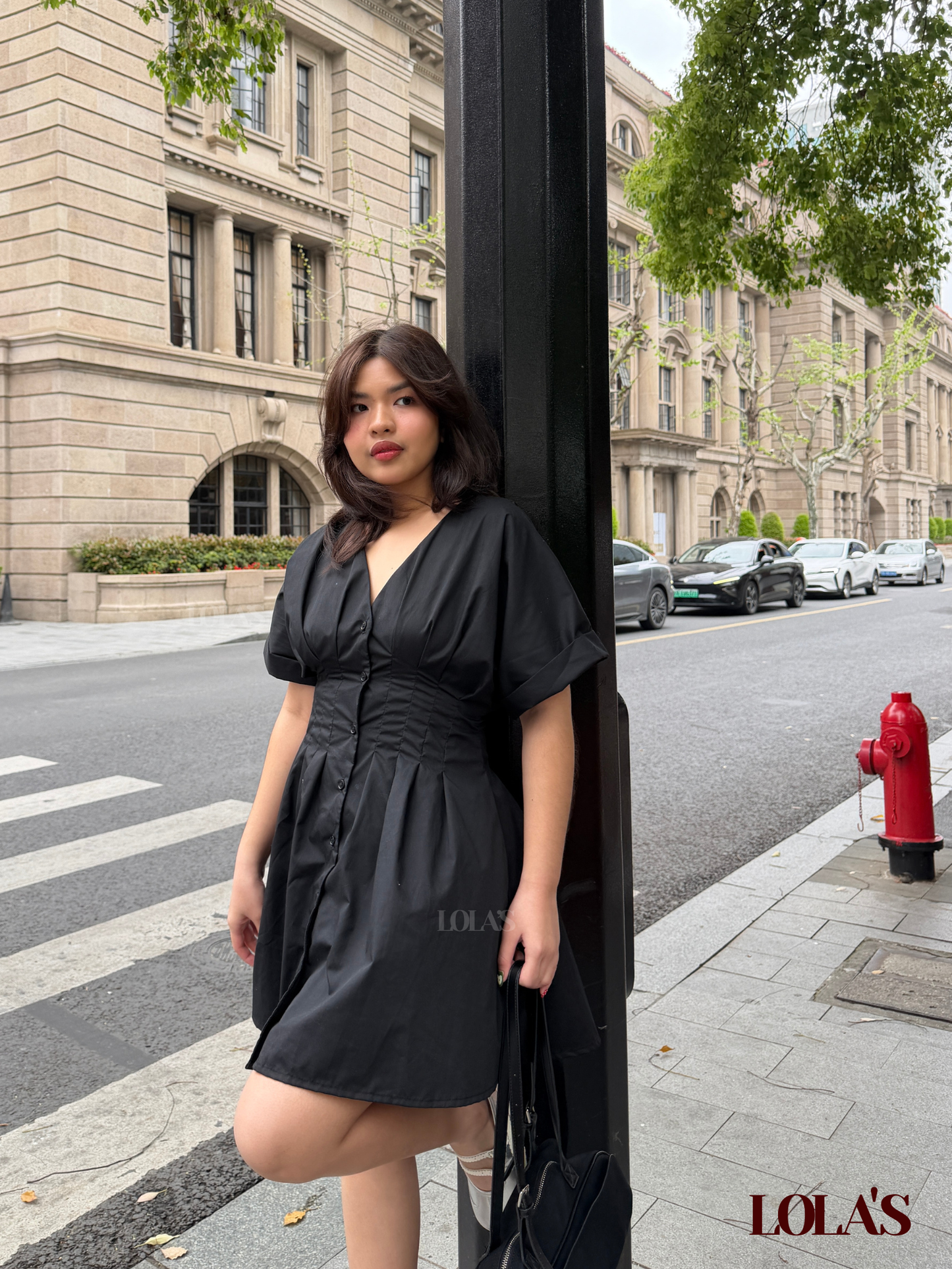 Felicia Dress (Black Poplin)