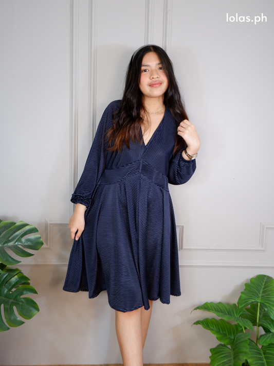 Ricci Dress (Navy Pleats)